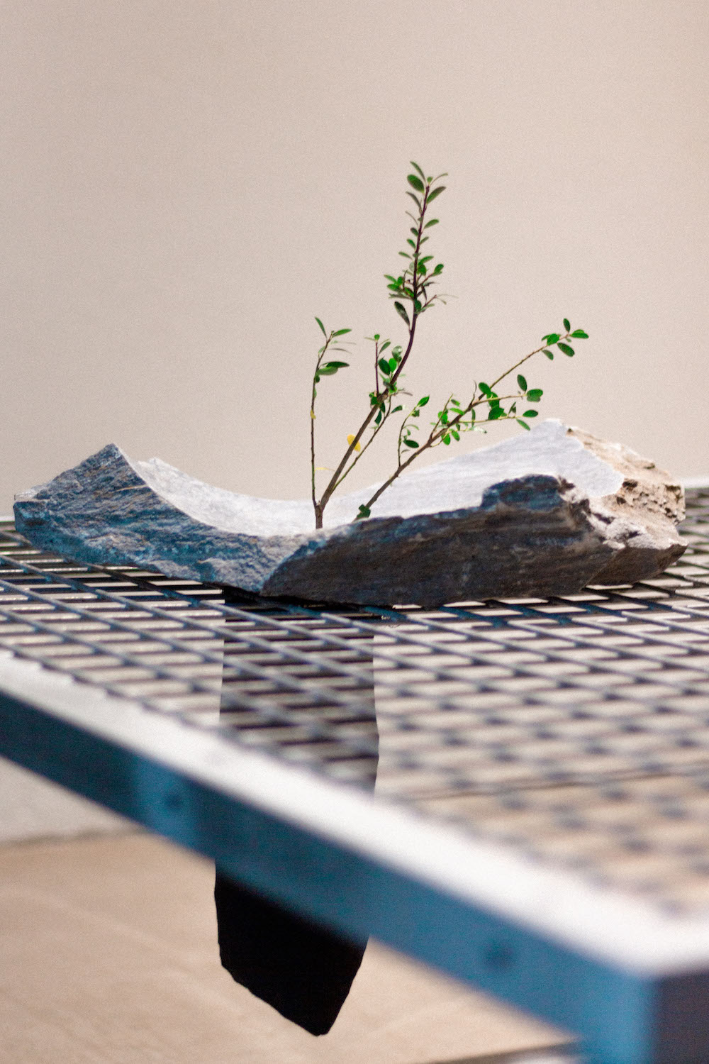 Photo by Antônio Frederico Lasalvia